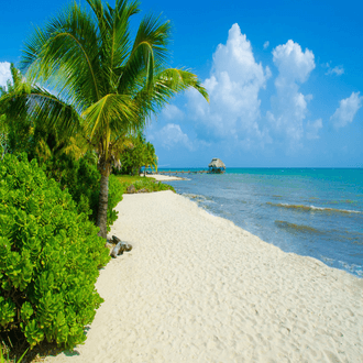 Placencia