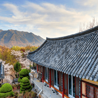 Daegu