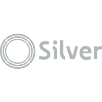 एयरलाइन Silver Airways आइकन